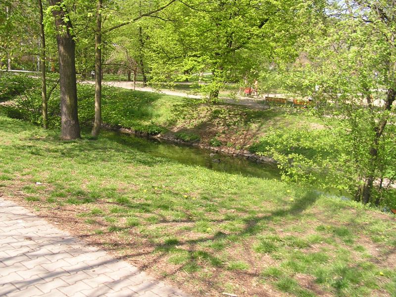 p1010011.jpg
