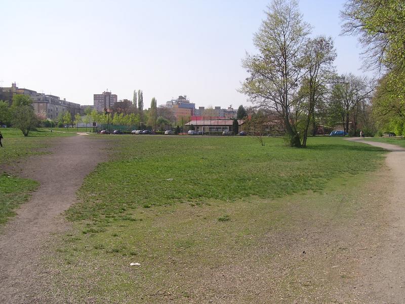 p1010012.jpg