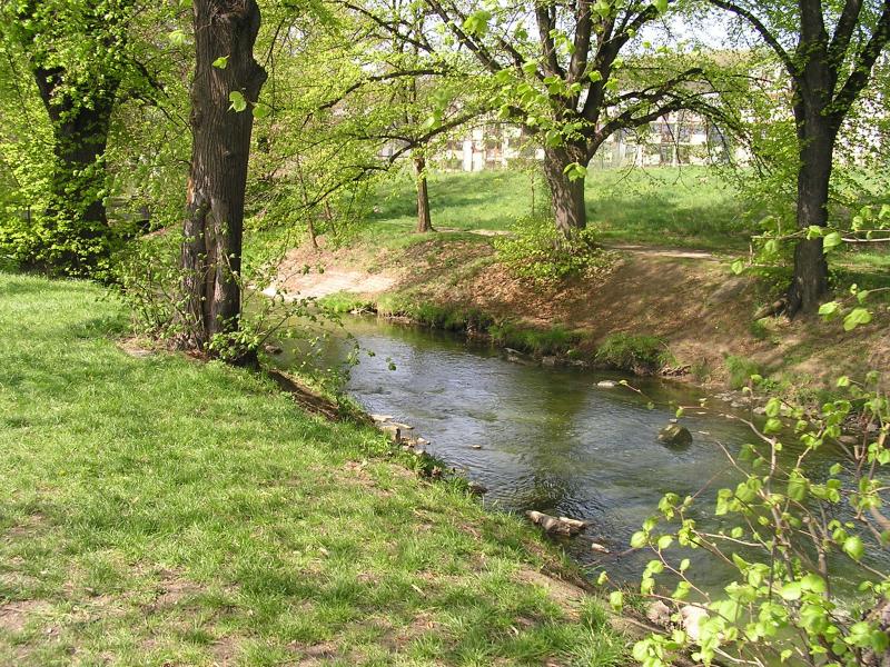 p1010015.jpg