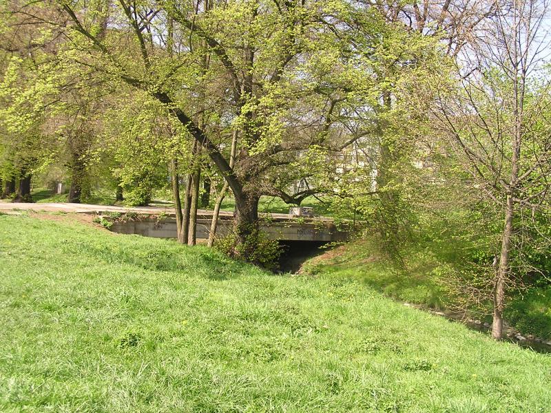 p1010016.jpg