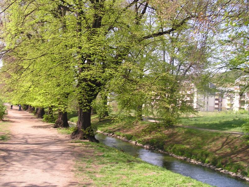 p1010017.jpg