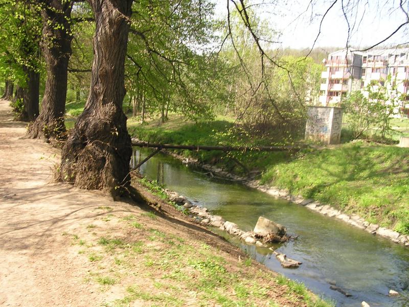 p1010018.jpg