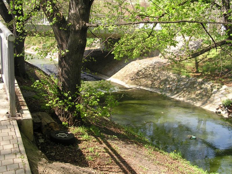 p1010021.jpg