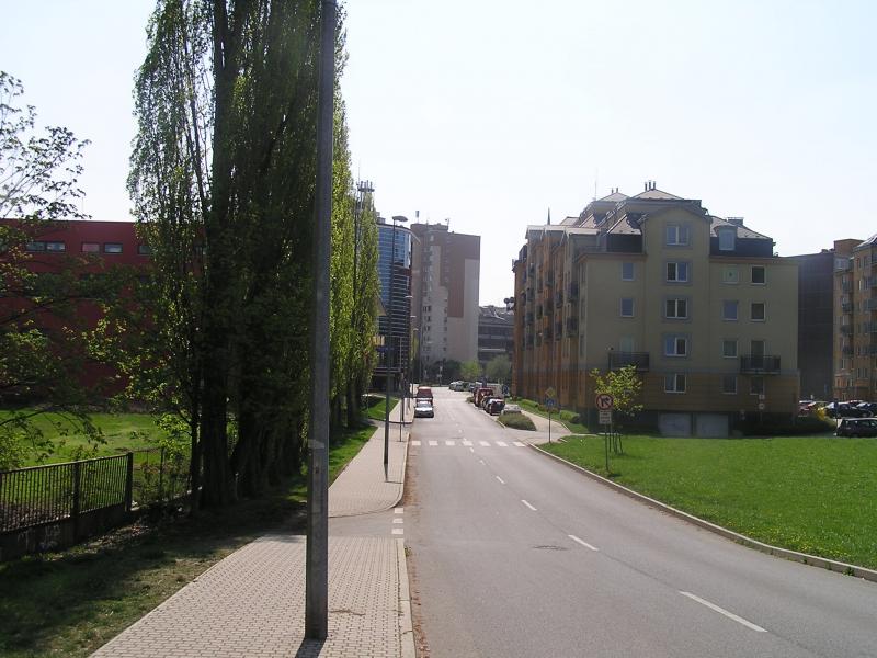 p1010023.jpg