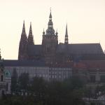 p1010028.jpg