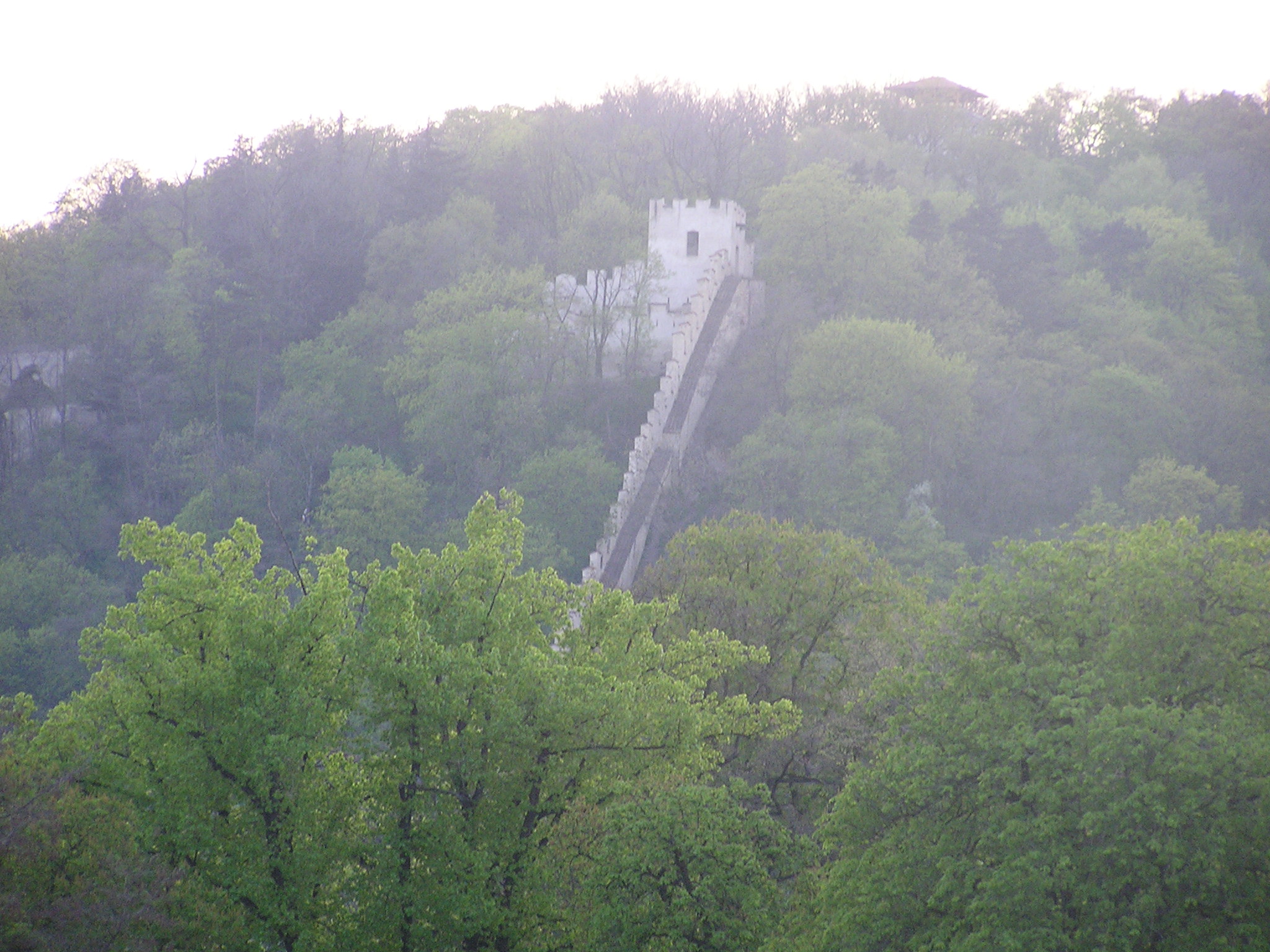 p1010030.jpg