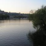 p1010032.jpg