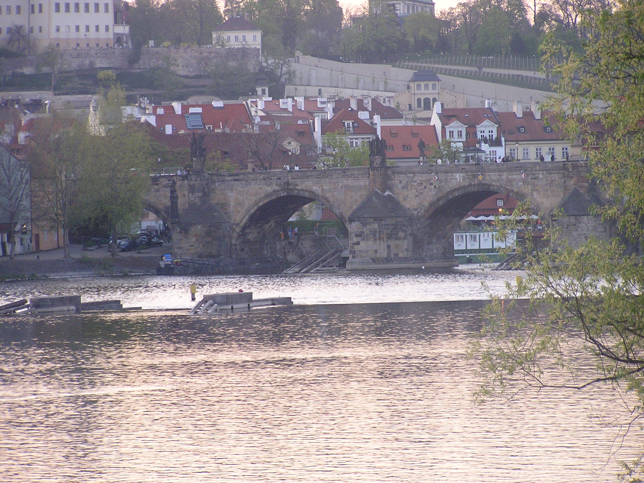 p1010033.jpg