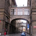 p1010011.jpg