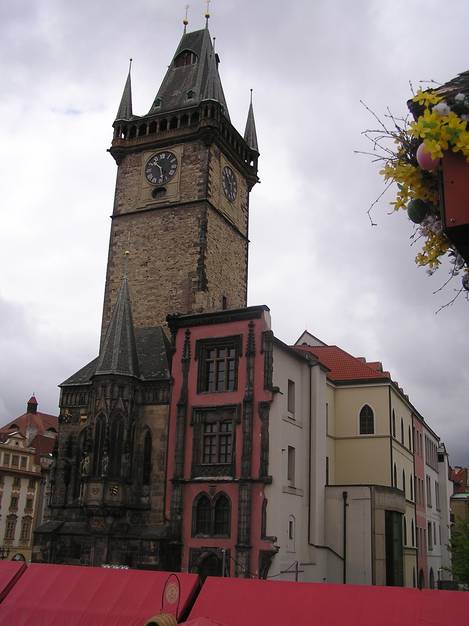 p1010053.jpg