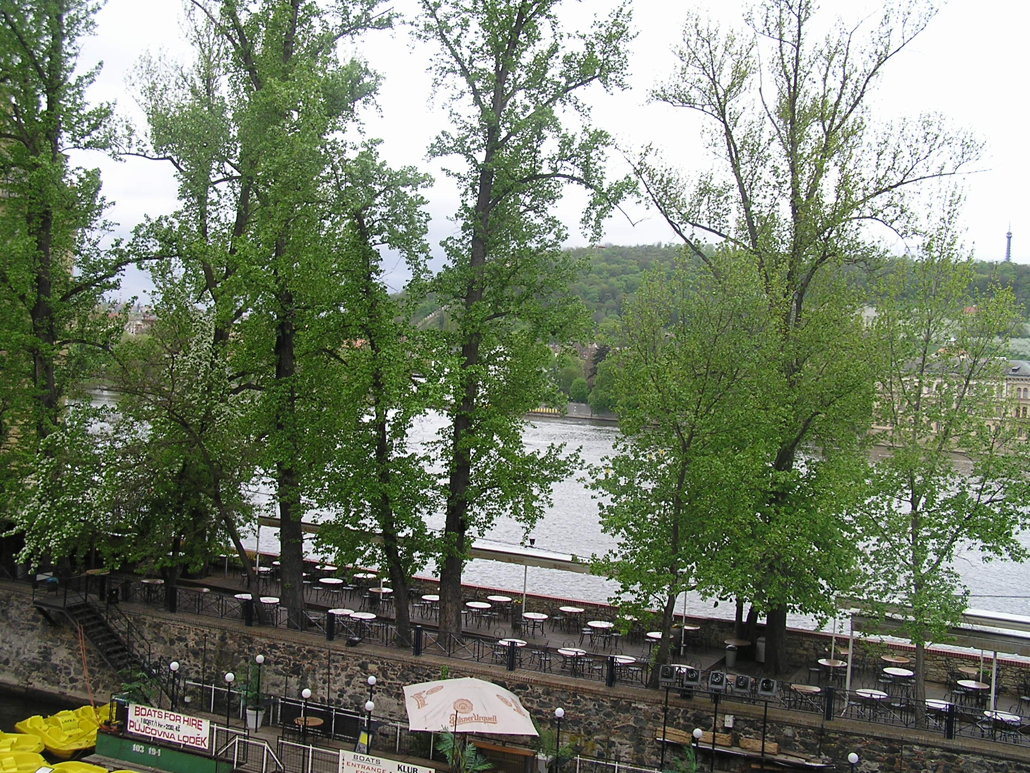 p1010086.jpg