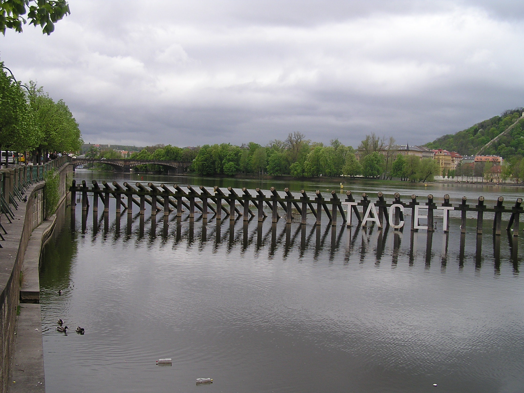 p1010090.jpg