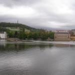 p1010098.jpg