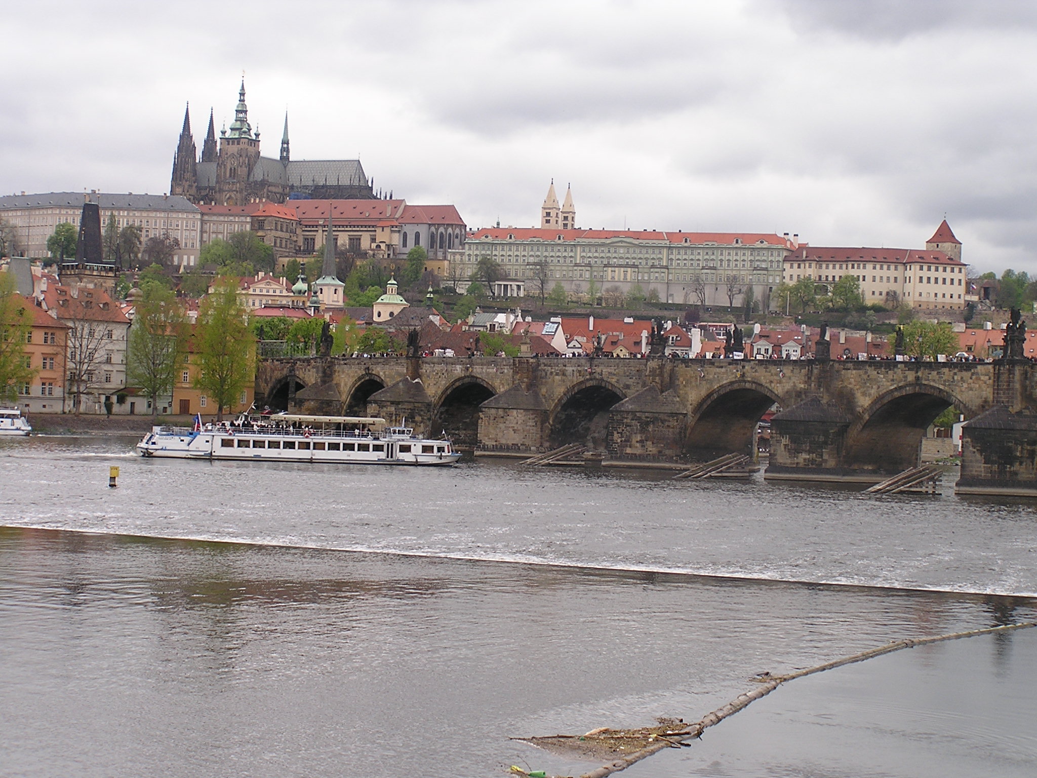 p1010100.jpg