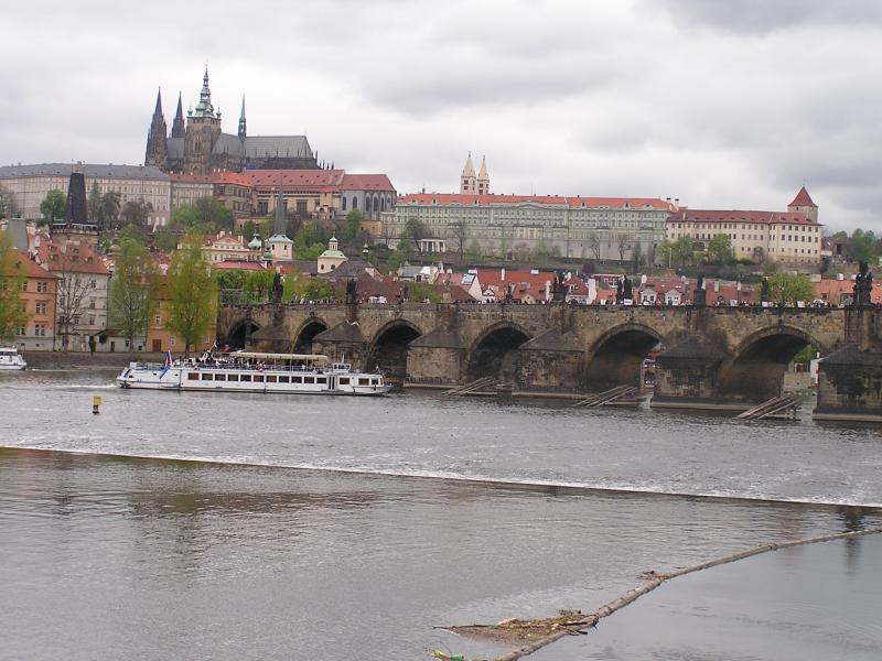 p1010100.jpg