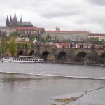 p1010100.jpg
