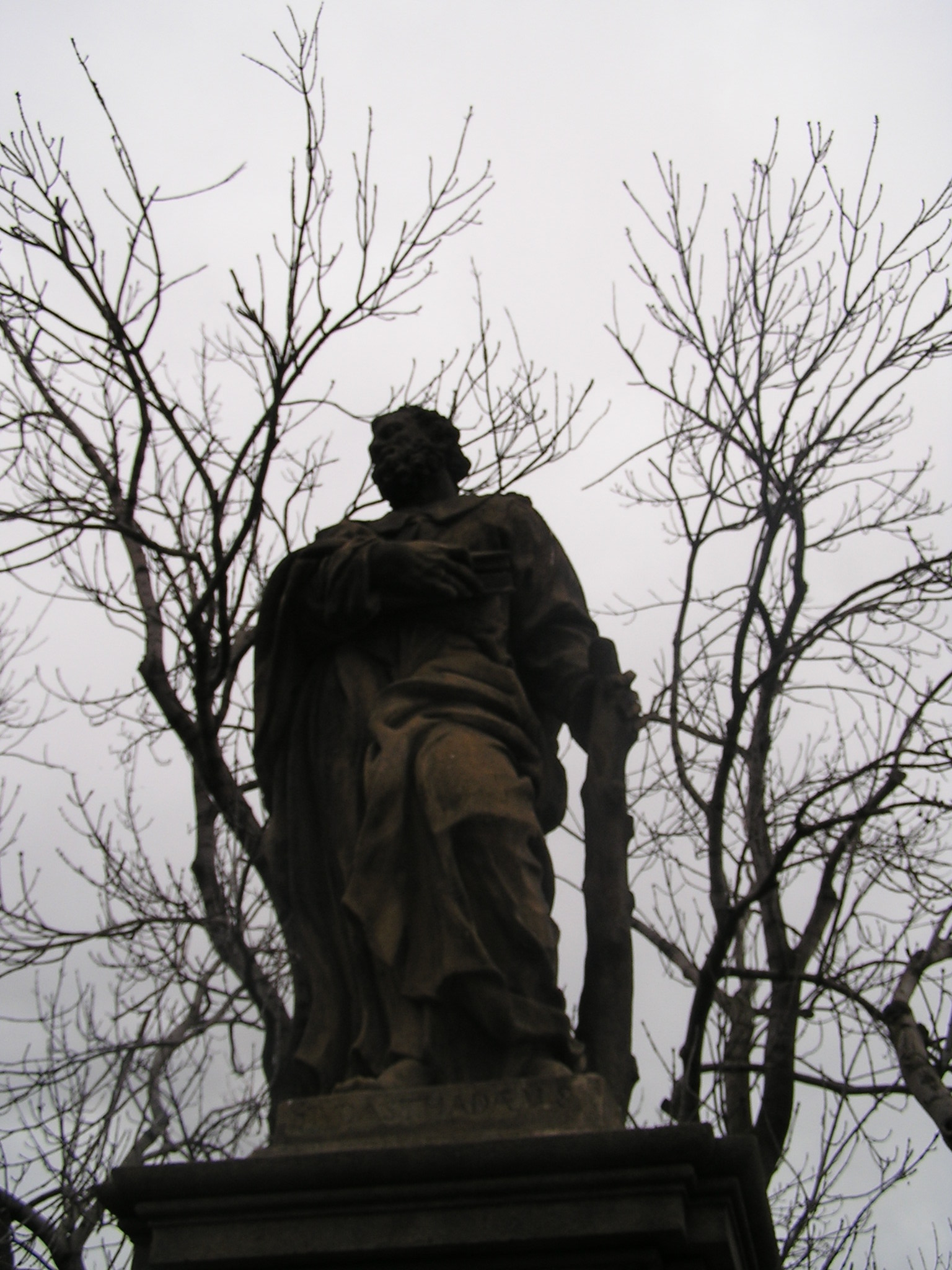 p1010120.jpg