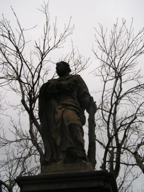 p1010120.jpg