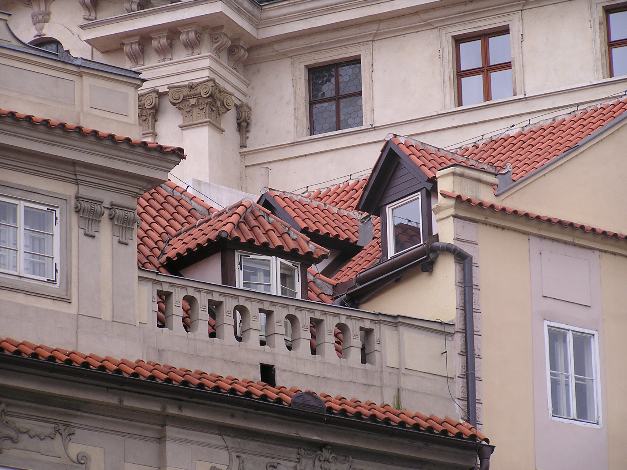 p1010139.jpg