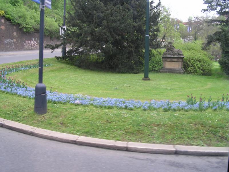 p1010140.jpg