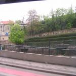 p1010141.jpg