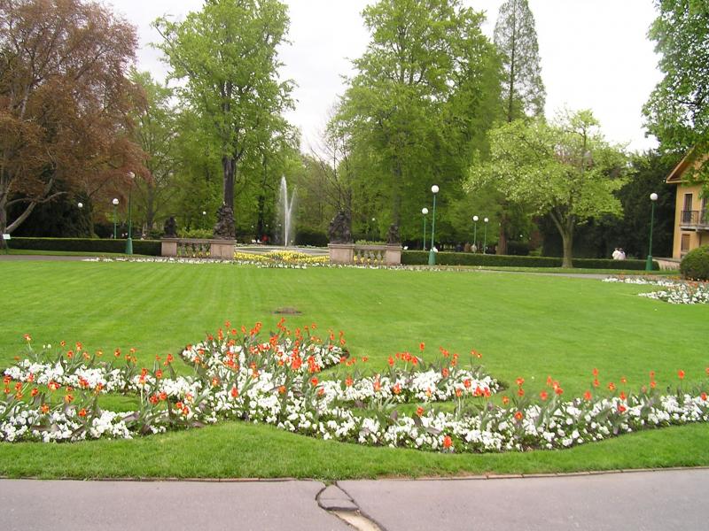 p1010146.jpg