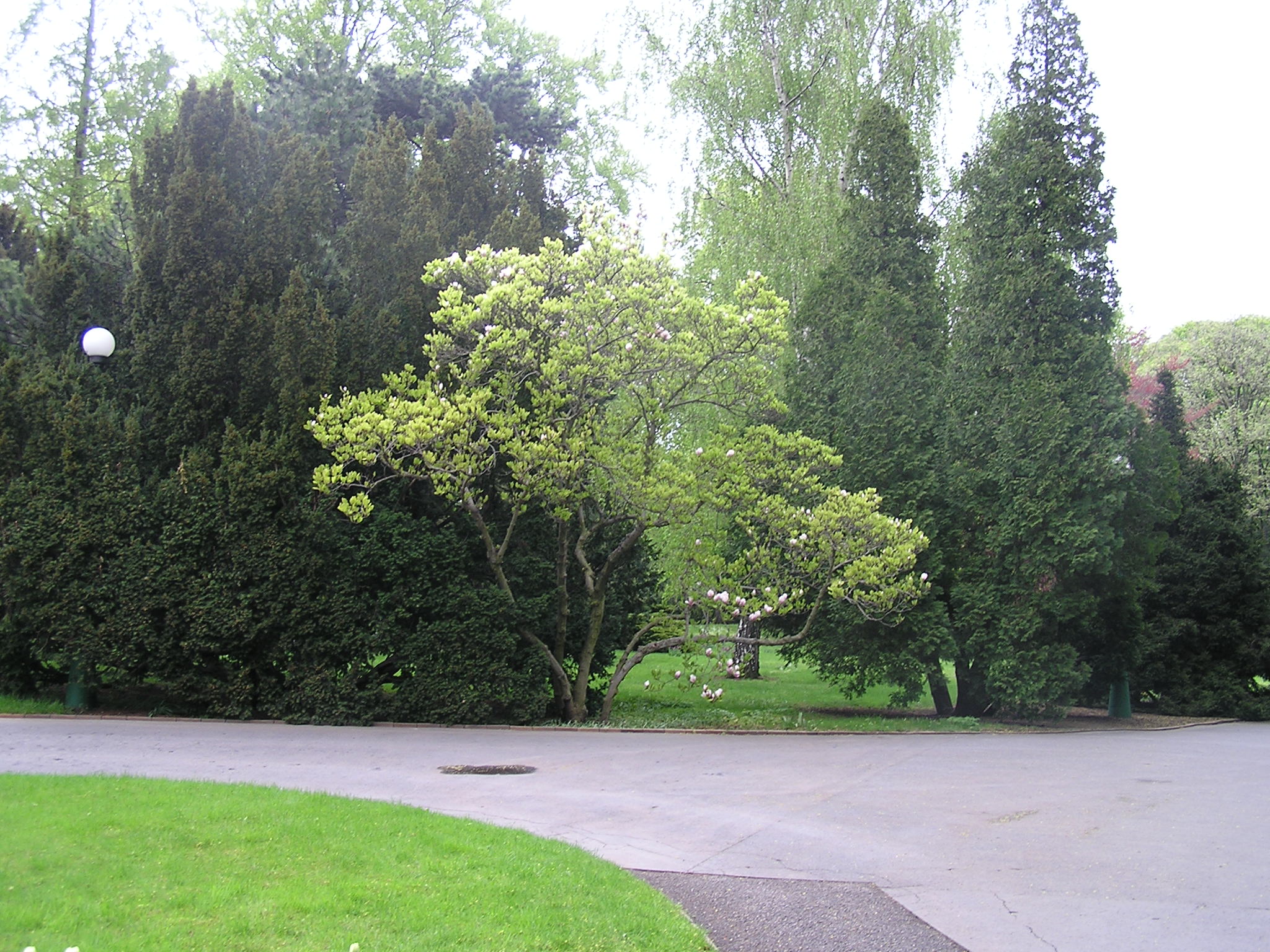 p1010157.jpg