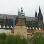p1010158.jpg