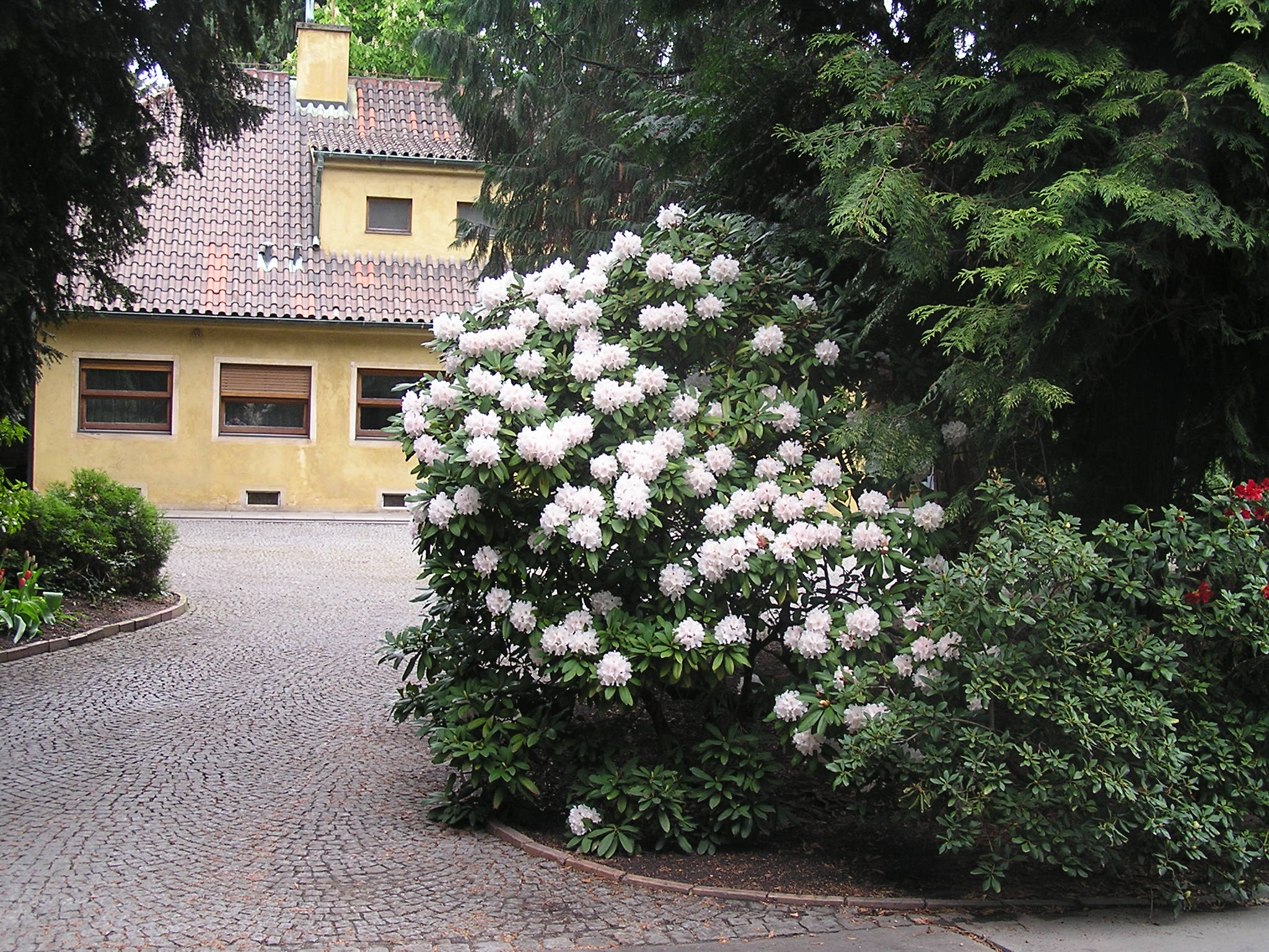 p1010161.jpg