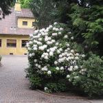 p1010161.jpg