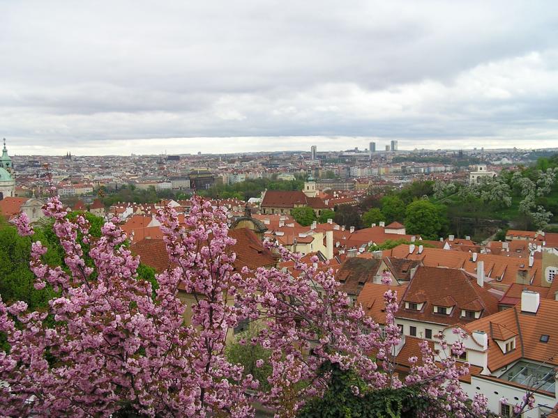 p1010205.jpg