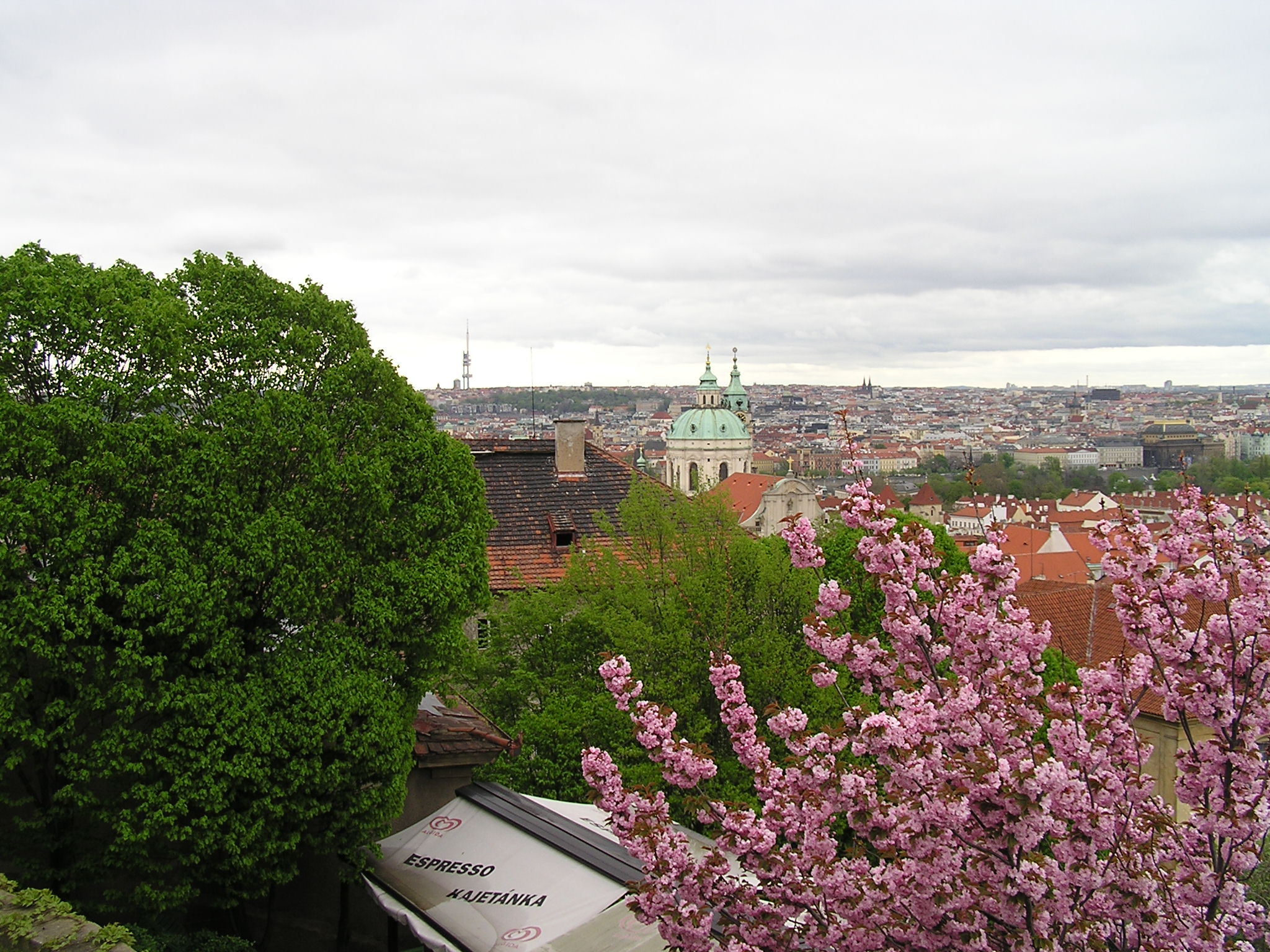 p1010206.jpg