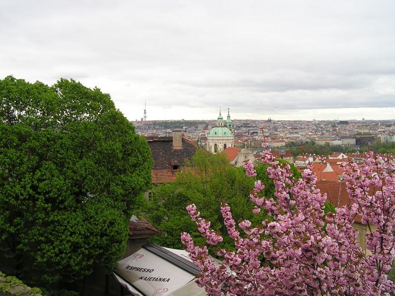 p1010206.jpg