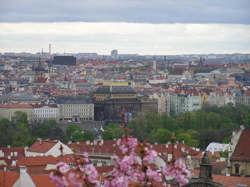 p1010208.jpg