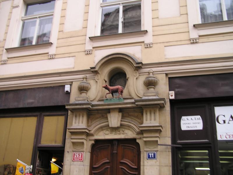 p1010221.jpg