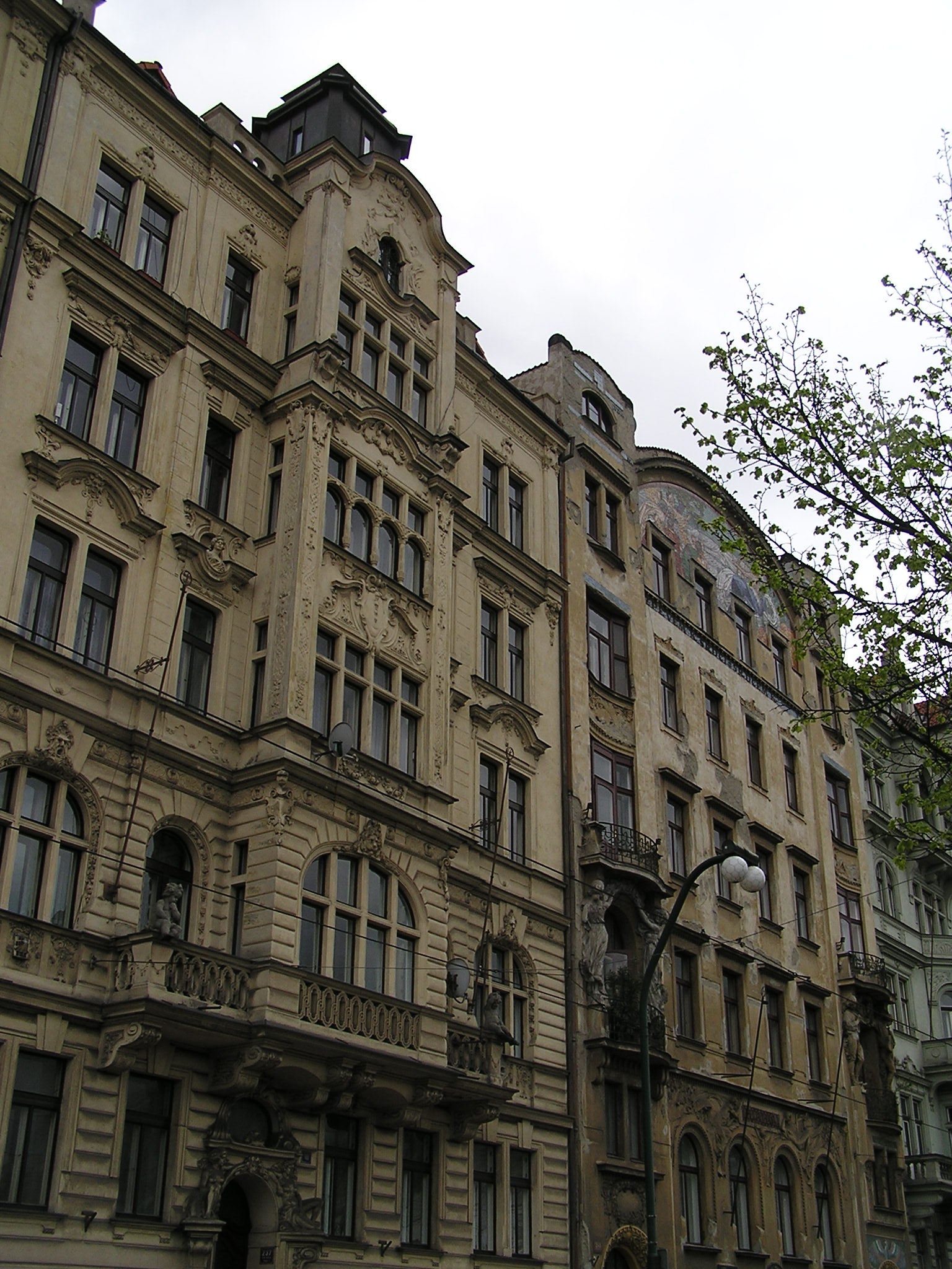 p1010249.jpg