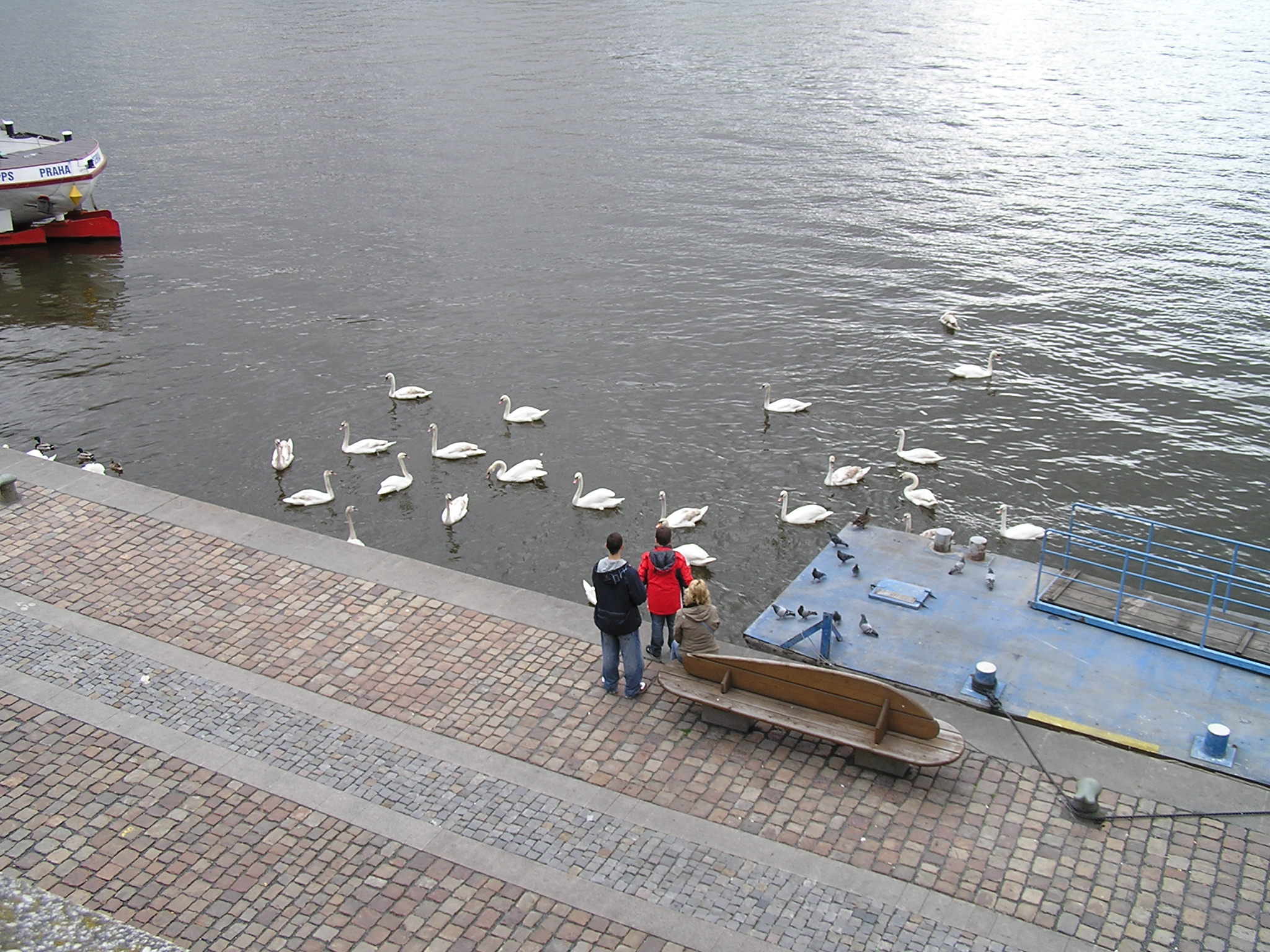p1010262.jpg