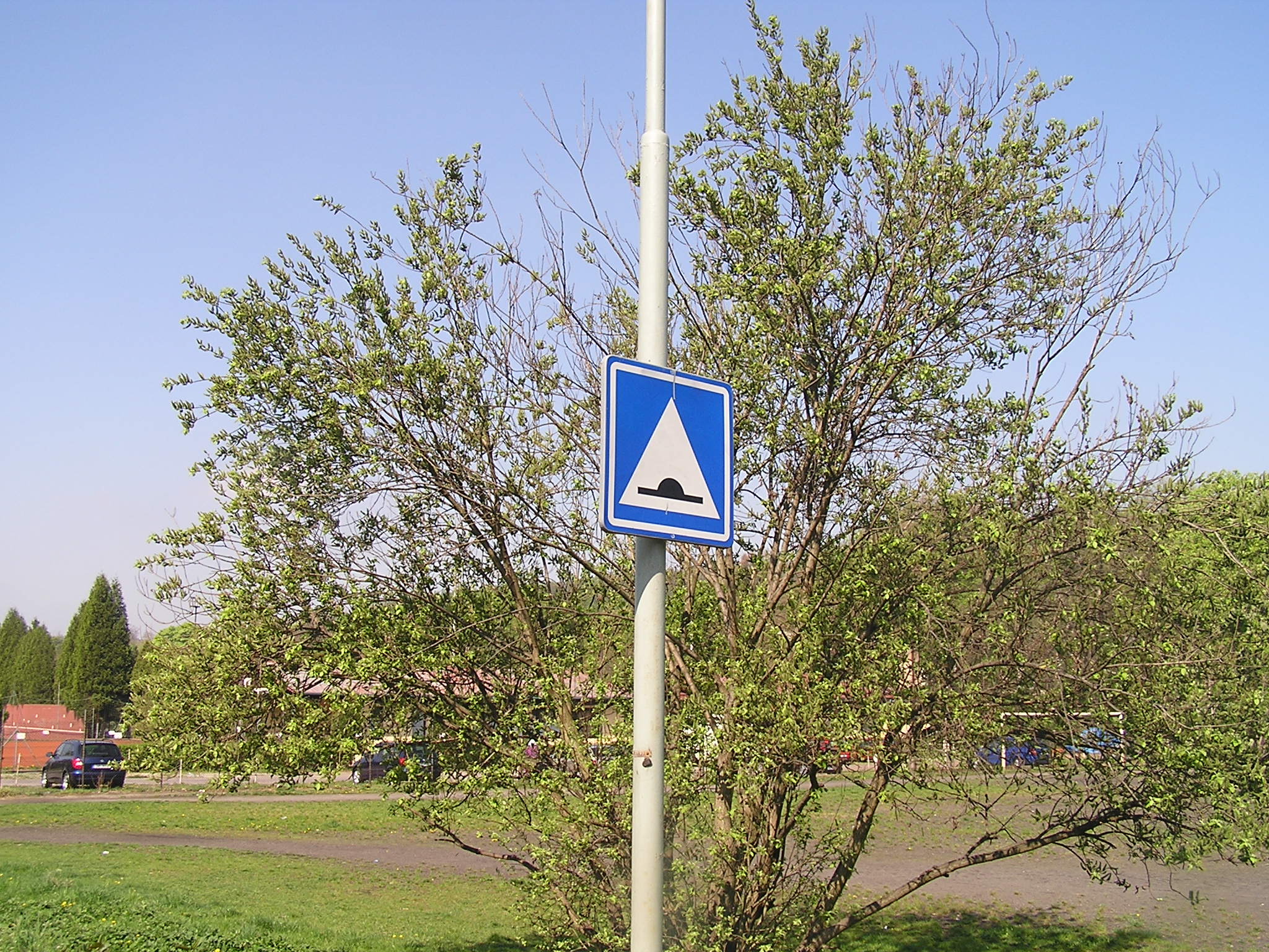 p1010036.jpg