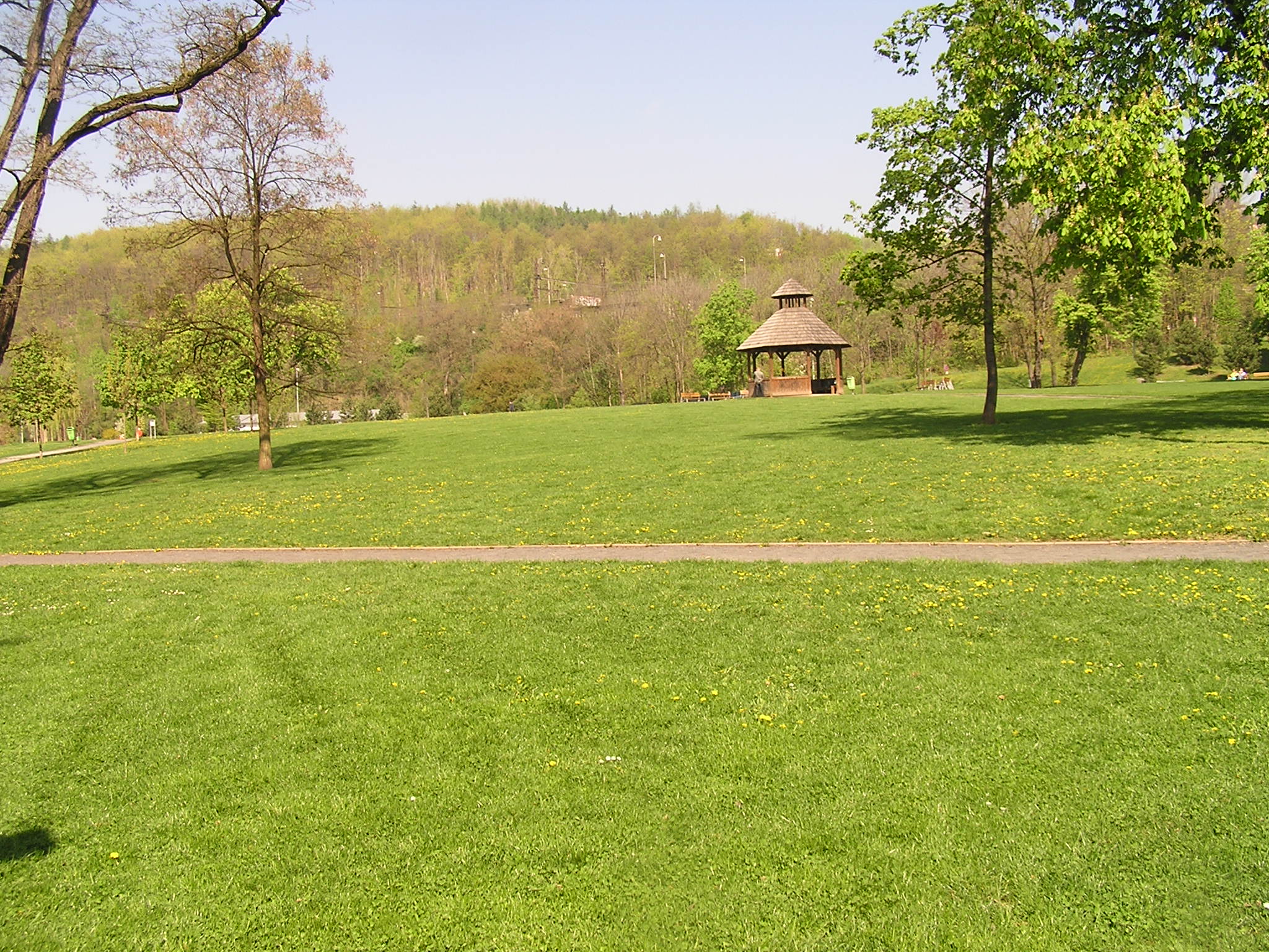 p1010039.jpg