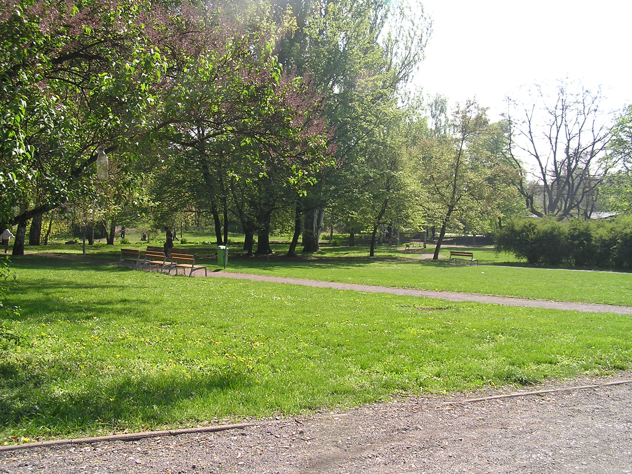p1010040.jpg