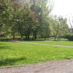 p1010040.jpg