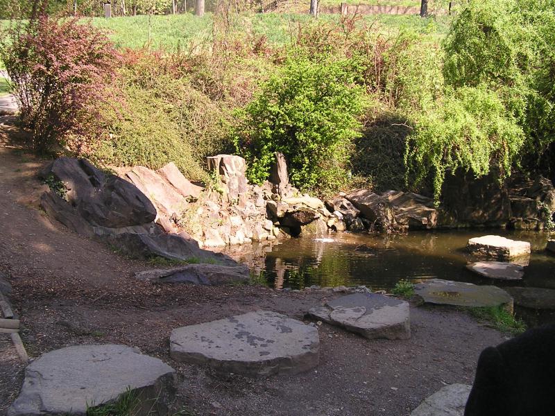 p1010042.jpg
