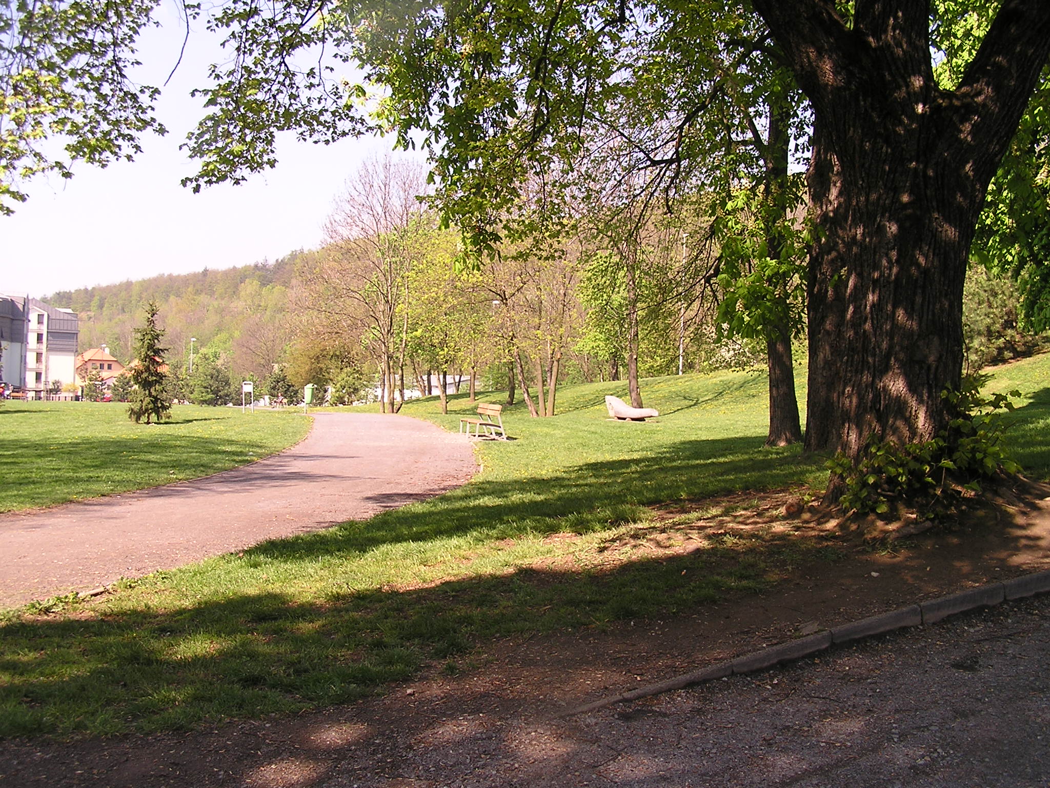 p1010043.jpg