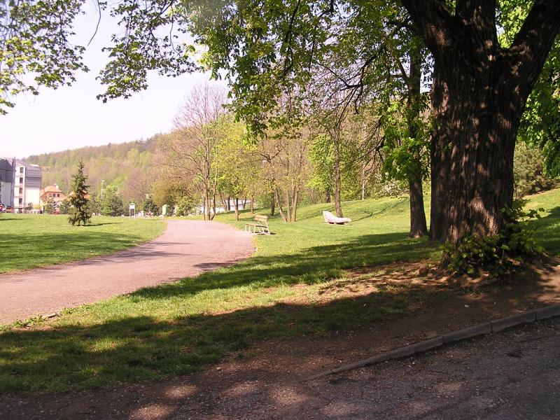 p1010043.jpg