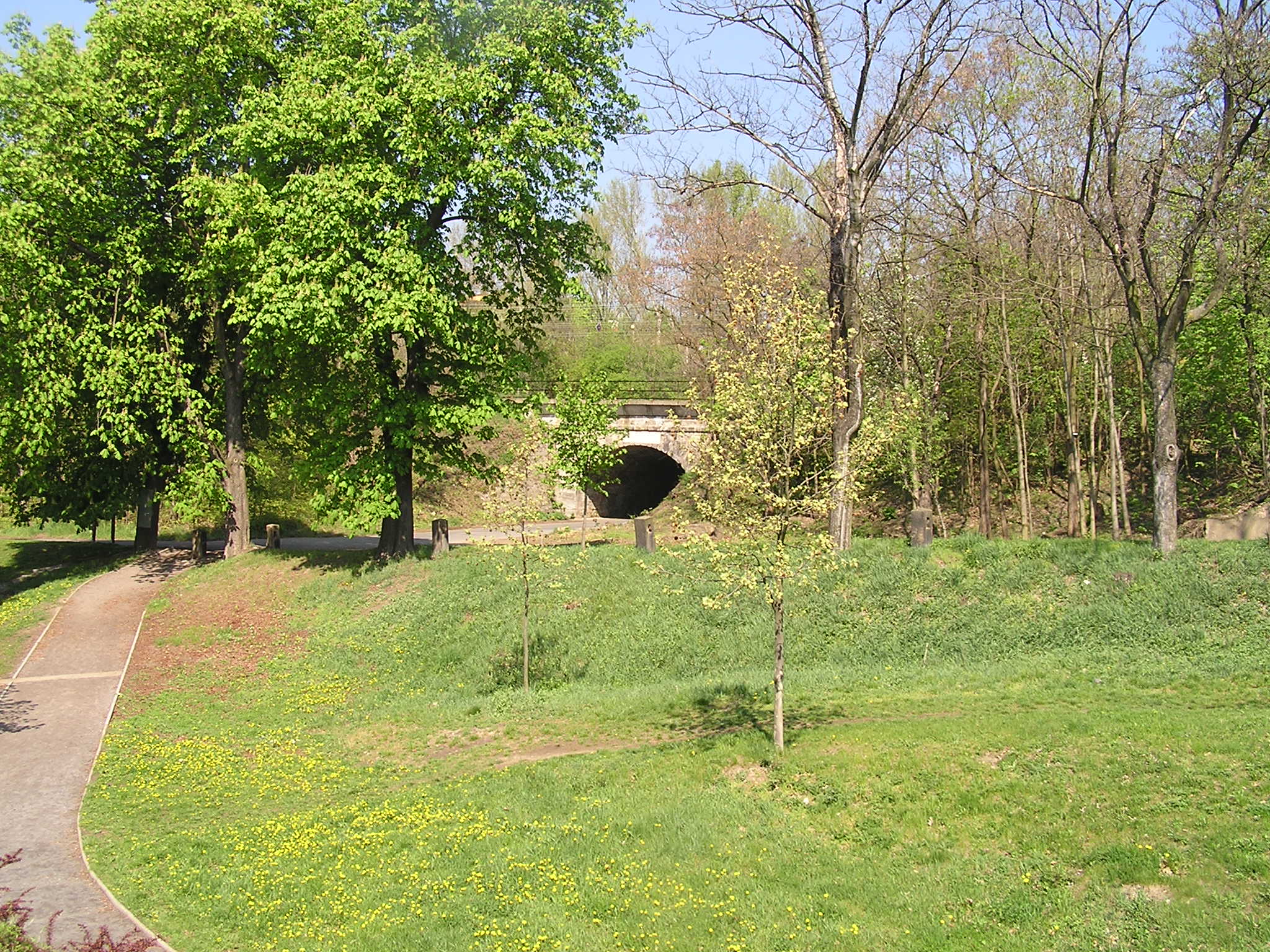 p1010050.jpg