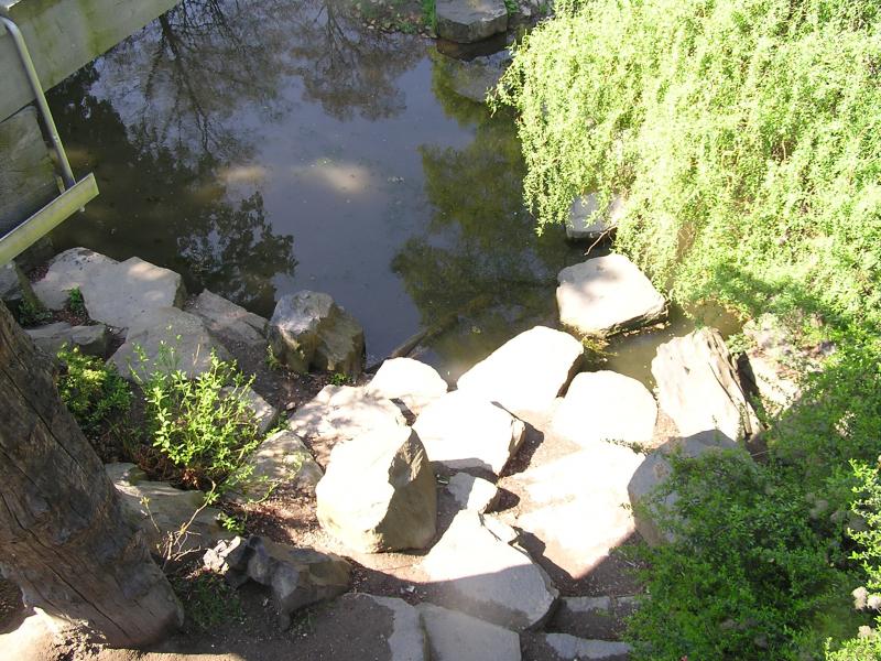 p1010052.jpg