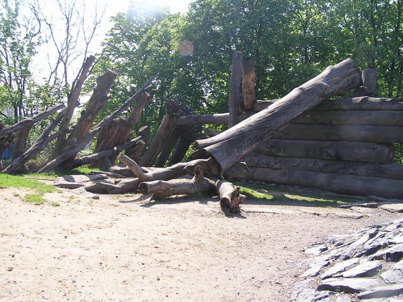 p1010066.jpg