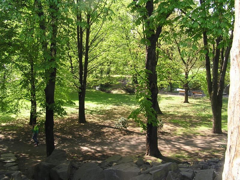 p1010067.jpg