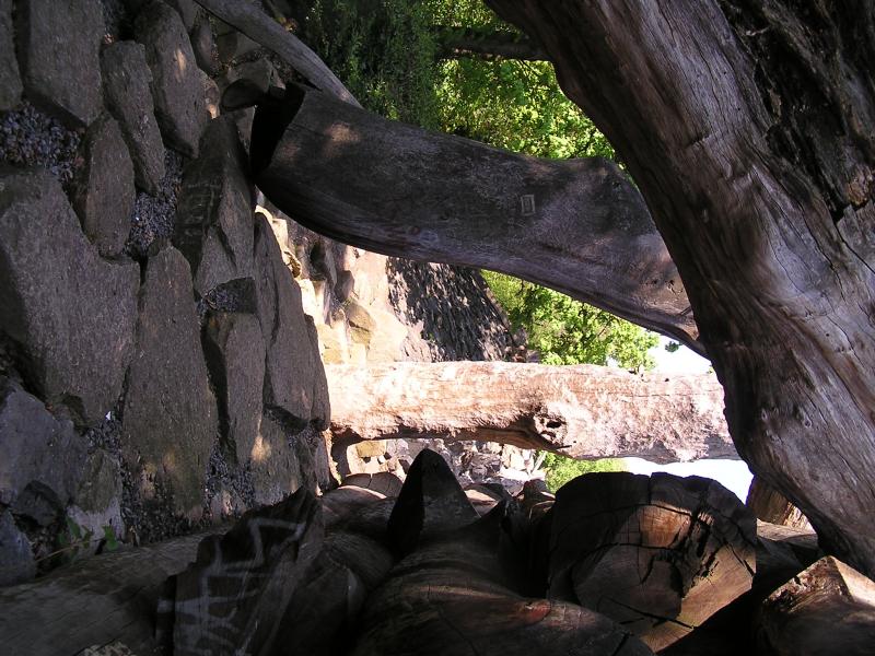 p1010069.jpg