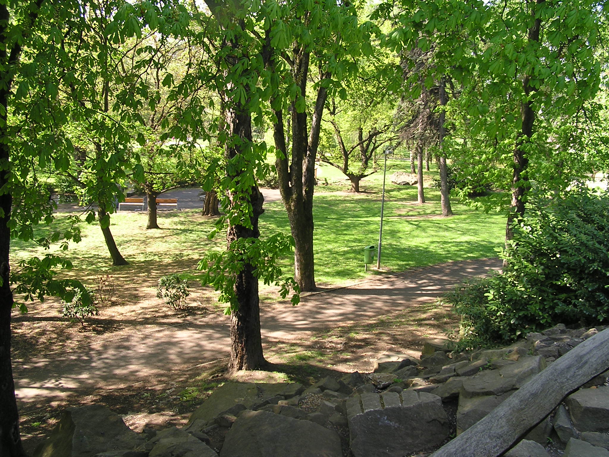 p1010070.jpg